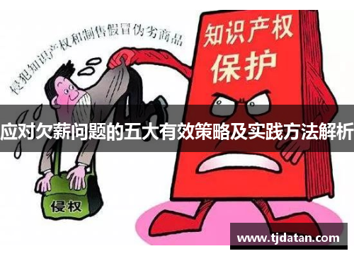 应对欠薪问题的五大有效策略及实践方法解析
