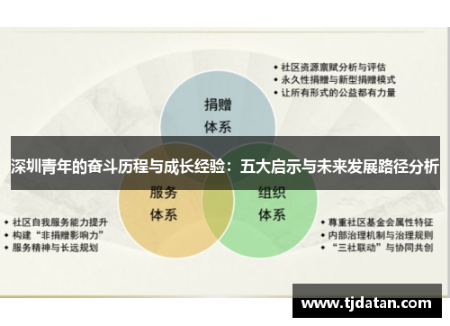 深圳青年的奋斗历程与成长经验：五大启示与未来发展路径分析